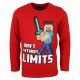 Minecraft Kinder langarmshirt, 10 Jahre