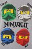 Lego Ninjago langärmliges Kinderhemd, Oberteil, 3 Jahre