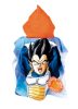 Dragon Ball Son Goku Strandhandtuch Poncho 55x110cm (fast dry)