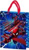 Disney Disney Paw Patrol, Spider-Man Papier Geschenkbeutel 34x26x12 cm