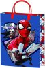 Disney Disney Prinzessinnen, Paw Patrol, Spiderman Kunststoff-Geschenktüte 32x27x10 cm