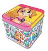 Paw Patrol Girls Mini-Metallbox 7,5 cm