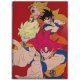 Dragon Ball Hues of Power Korall-Fleece-Decke 110x150cm