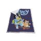 Bluey Skateboard  sherpa Decke 120x150cm