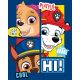 Paw Patrol Polardecke 100x140cm