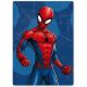 Spiderman Sweet Web Fleece-Decke 100x140cm