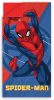 Spiderman Protect Schlafsack