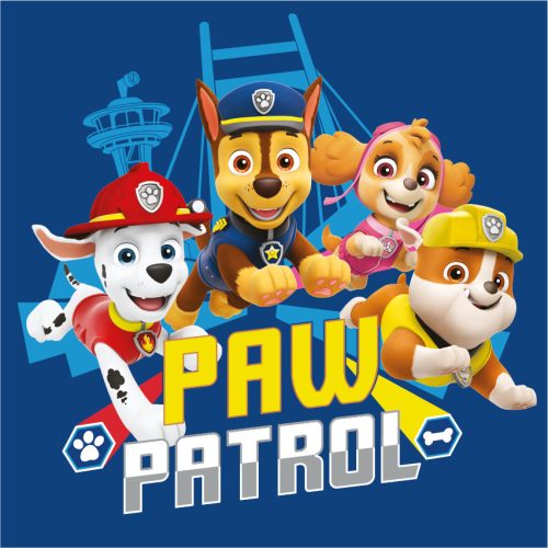 Paw Patrol Team Handtuch, Gesichtstuch, Handtuch 30x30cm