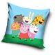 Peppa Wutz Friends Kissenbezug 40x40 cm Samt