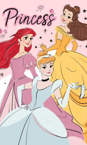 Disney Prinzessin Elegant Handtuch Gesichtstuch, Handtuch 30x50cm