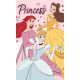 Disney Prinzessin Elegant Handtuch Gesichtstuch, Handtuch 30x50cm