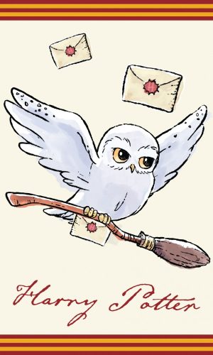 Harry Potter Hedwig Handtuch, Gesichtshandtuch, Handtuch 30x50cm