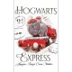 Harry Potter Express Handtuch, Gesichtstuch, Handtuch 30x50 cm