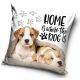 Hund Home Kissenbezug 40x40 cm Samt