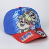 Paw Patrol Buddies Sonnenbrillen- und Baseballkappenset