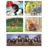 Tiere Friends 10 in 1 Puzzle Clementoni