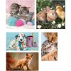 Tiere Friends 10 in 1 Puzzle Clementoni