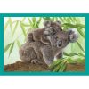 Tiere Baby Cuddles 4-in-1 Puzzle Clementoni