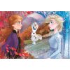 Disney Eiskönigin Contrasts 60-teilige Maxi Puzzle Clementoni