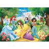 Disney Prinzessin Magical Companions 60-teilige Maxi-Puzzle Clementoni