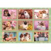 Tiere Puppies Collage 180-teiliges Clementoni-Puzzle