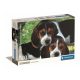 Tiere Beagles Close Together 500 Teile Hund Puzzle von Clementoni