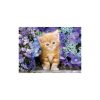 Tiere Ginger 500-teiliges Katzenpuzzle Clementoni