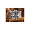 Tiere Grey 500-teiliges Katzenpuzzle Clementoni