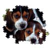 Tiere Beagles Close Together Hunde 500-teiliges Puzzle Clementoni