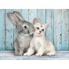 Tiere Cat & Bunny 500-teiliges Puzzle Clementoni