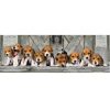 Hund Beagles 1000-teiliges Panorama-Puzzle Clementoni