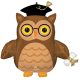 Abschluss Wise Owl Folienballon 76 cm