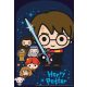 Harry Potter Graphic Geschenktasche, 8er Pack