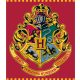 Harry Potter Red Korallen-Vlies, Polardecke 120x150cm