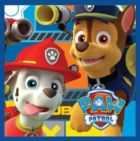 Paw Patrol Magisches Handtuch Gesichtstuch, Handtuch 30x30cm