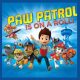 Paw Patrol Magisches Handtuch Gesichtstuch, Handtuch 30x30cm