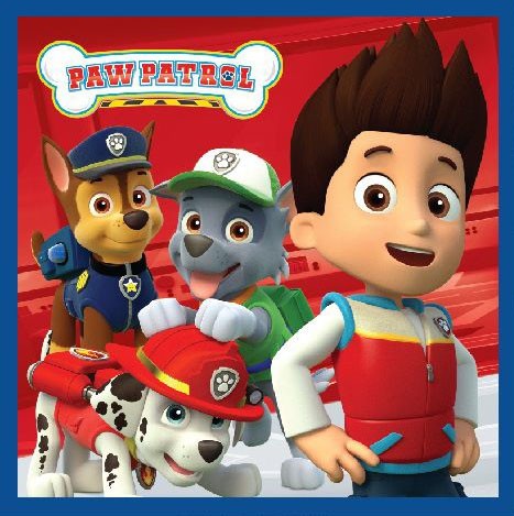 Paw Patrol Magisches Handtuch Gesichtshandtuch, Handtuch 30x30cm