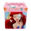 Disney Prinzessin Spielzeugaufbewahrung 30×30×30 cm