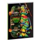 Teenage Mutant Ninja Turtles Skateboard B/5 liniertes Heft 40 Blätter