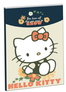 Hello Kitty Stay Sunny B/5 liniertes Heft 40 Blatt