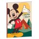 Disney Mickey  Nature B/5 liniertes Heft 40 Blatt