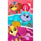 Paw Patrol Mighty Trio Handtuch, Gesichtstuch, Handtuch 30x50cm