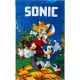 Sonic Speedy Igel Handtuch, Gesichtstuch, Handtuch 30x50 cm