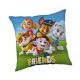 Paw Patrol Friends kissenbezug 40x40 cm