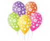 Blume Colorful Ballon, 5-tlg. 12 Zoll (30 cm)