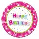 Geburtstag Pink Happy Birthday Pappteller 6er Pack 18 cm