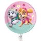 Paw Patrol Skye and Everest Papierteller 8 Stk. 23 cm FSC