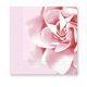 Blume Pink Rosen Serviette 20 Stk 33x33 cm